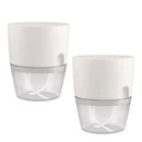 Vaso Brota Decor Auto Sustentável (COMPRE 1 LEVE 2 HOJE) - Bellgari